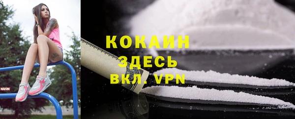 трава Аркадак