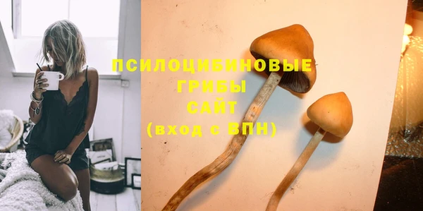 каннабис Арсеньев