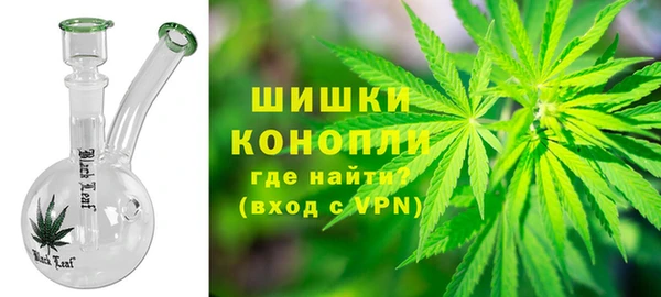 трава Аркадак