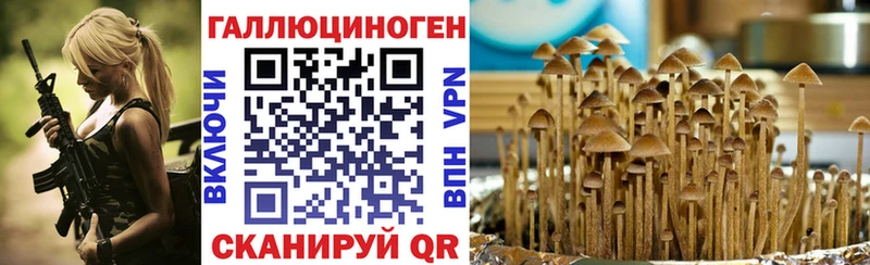 Псилоцибиновые грибы ЛСД  ОМГ ОМГ онион  Городище 